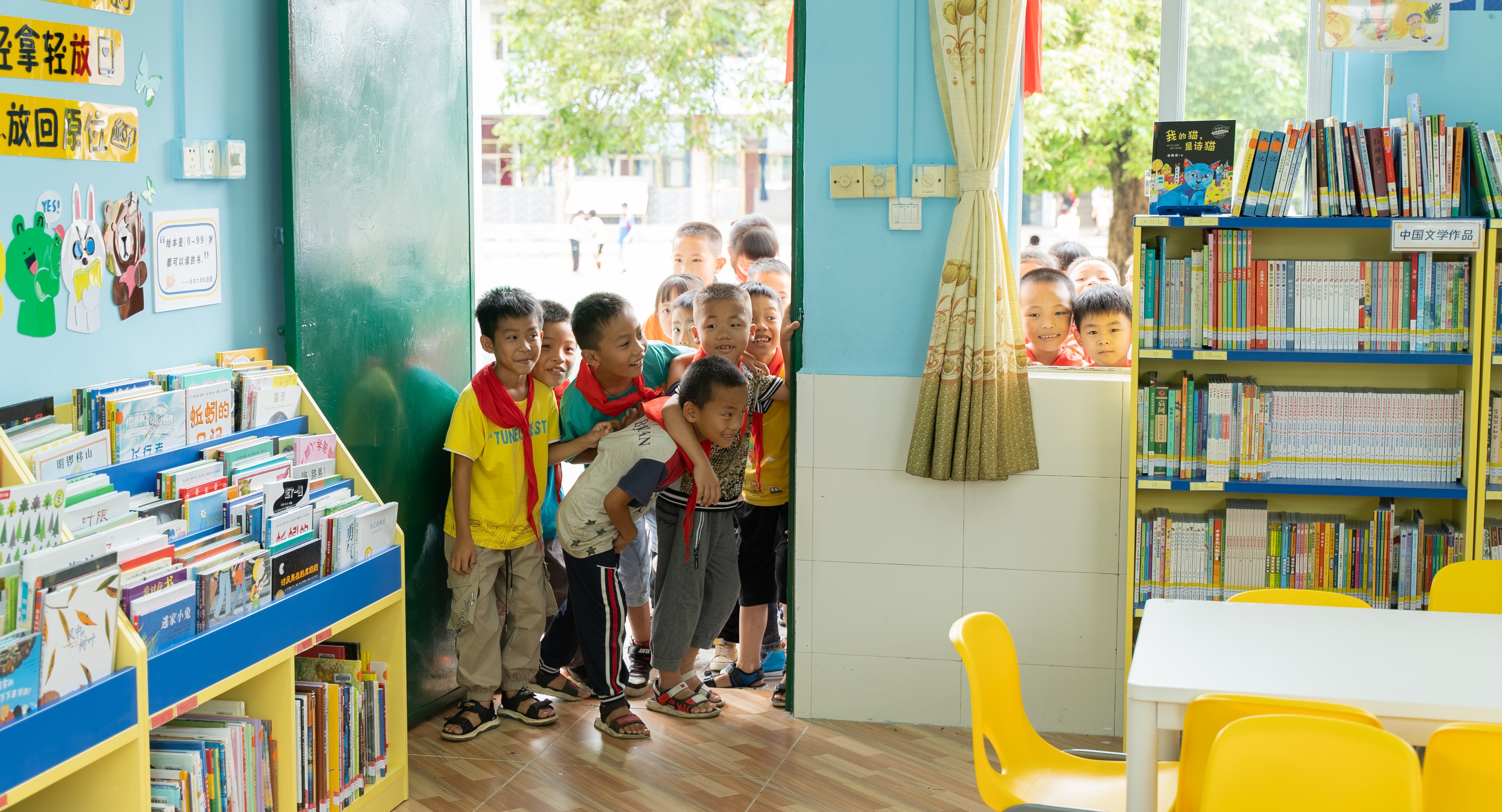 Primary School Library