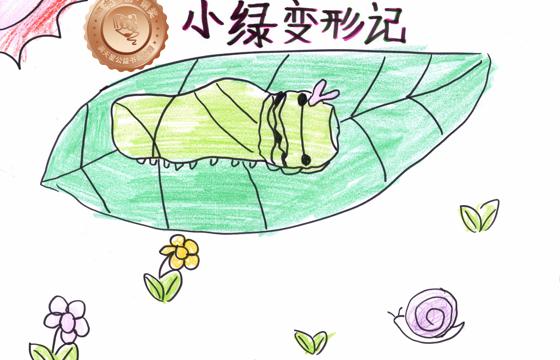 连平县铜奖 | 《小绿变形记》