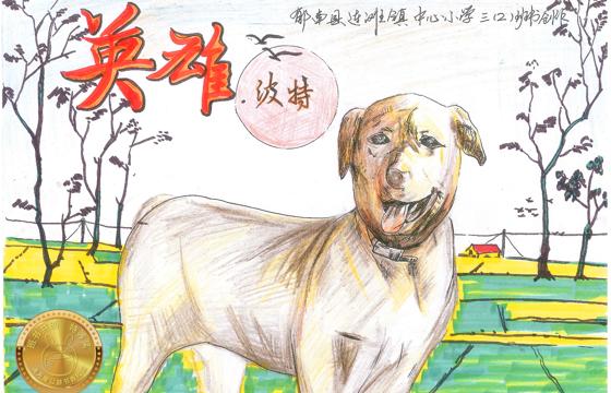 郁南县金奖 | 《英雄·波特》