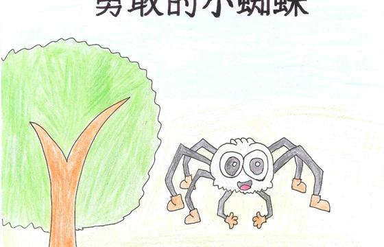 大埔县金奖 | 《勇敢的小蜘蛛》