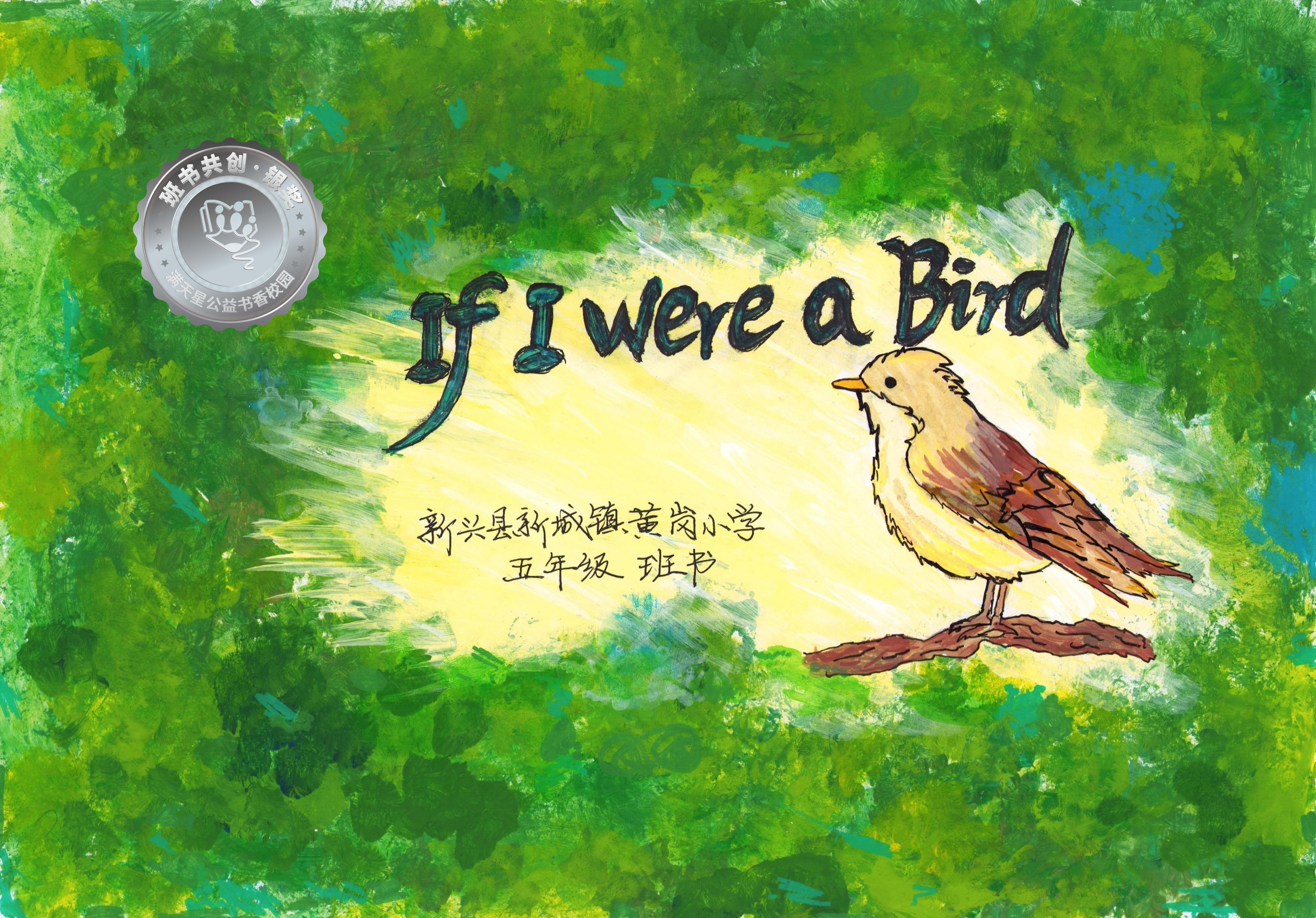 新兴县银奖 | 《If I were a Bird》