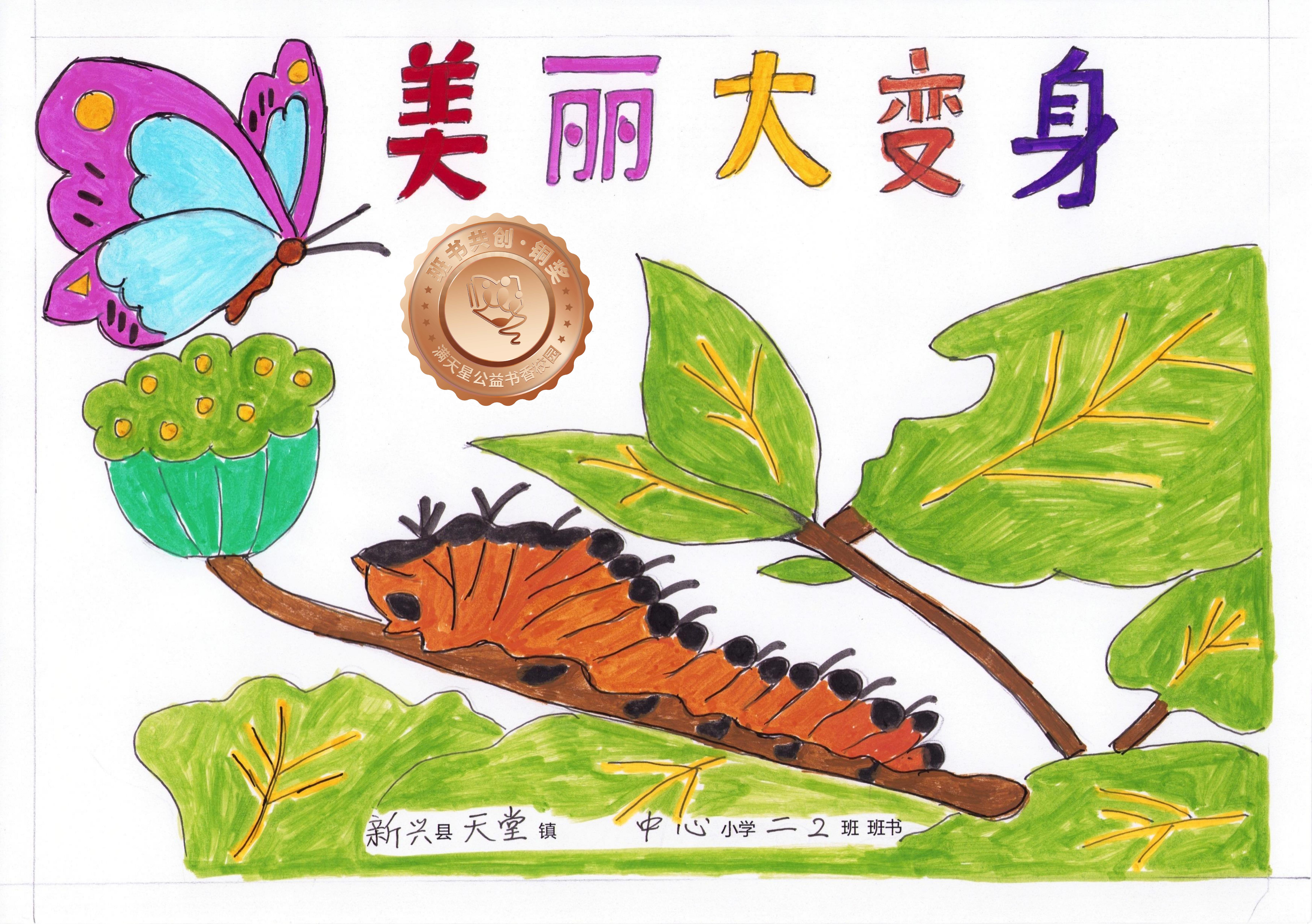 新兴县铜奖 | 《美丽大变身》